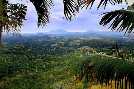 Copacabana, Playa De Oro - 11