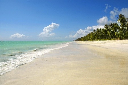 Zanzibar Kiwengwa Ocean Paradise Resort & Spa 8 dňový pobyt All Inclusive Letecky Letisko: Praha August 2025 (26/08/25- 2/09/25)