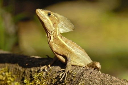 To Nejlepší Z Kostariky - 6