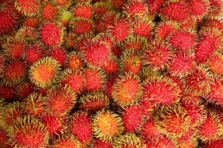 To Nejlepší Z Kostariky - 8