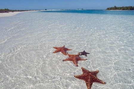 Copacabana, Playa De Oro - 14