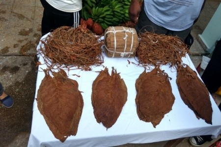 Copacabana, Tuxpan - 10