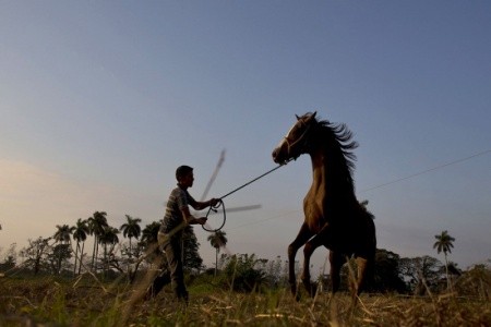 Copacabana, Tuxpan - 31