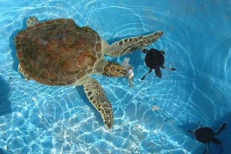 Be Live Habana City Copacabana - 9