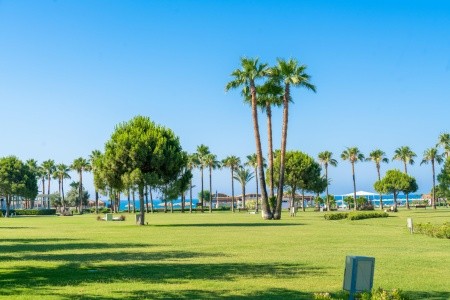 Lara Barut Collection - 14