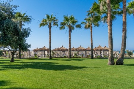 Lara Barut Collection - 15