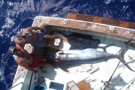 Acuario Marina Hemingway - 6