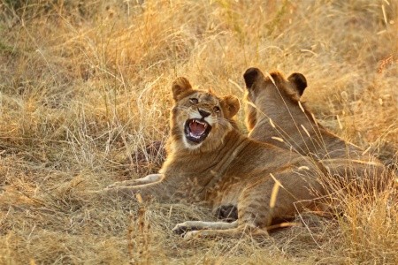 Mpumalanga & Victoria Falls - 2