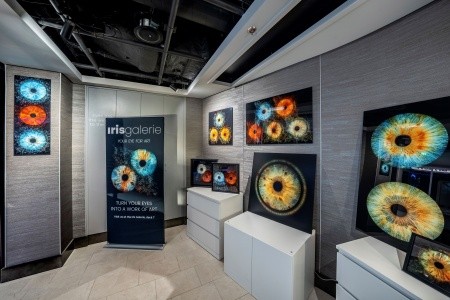 Msc World Europa - 22
