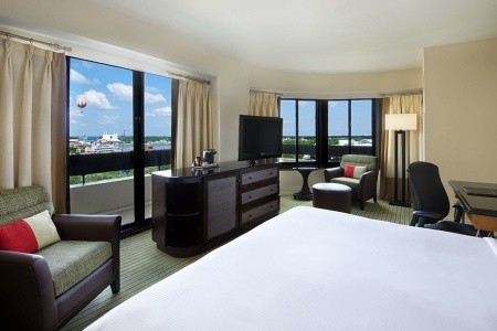 Hilton Orlando Lake Buena Vista - 50