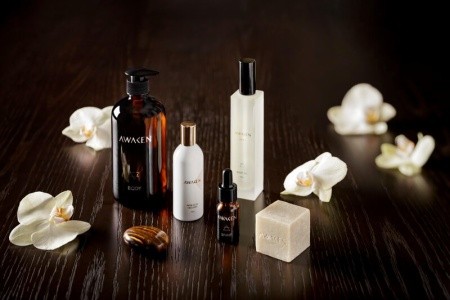 Atlantis The Royal - 73