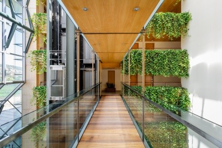 Alegria Caprici Verd - 74