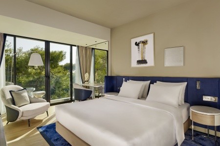 Grand Brioni A Radisson Collection (Ex. Brioni) - 133