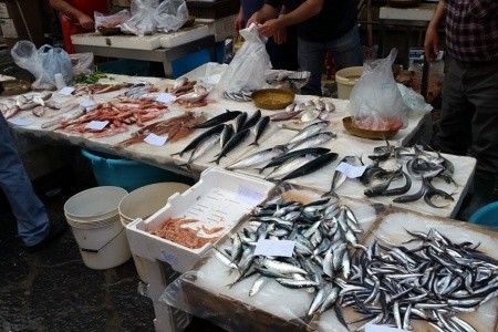 SICÍLIE – VELKÝ OKRUH nejen pro milovníky vína a dobrého jídla - 4