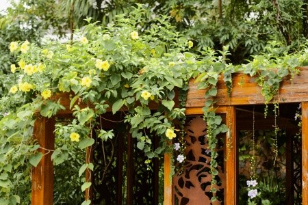 Salinda Resort Phu Quoc Island - 10