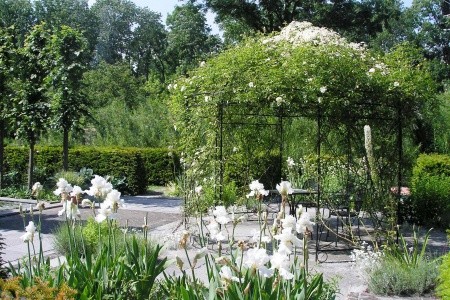 Zahrady a zámky Rakouska - 8