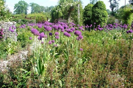 Zahrady a zámky Rakouska - 9