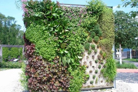 Zahrady a zámky Rakouska - 10