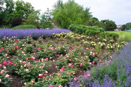 Zahrady a zámky Rakouska - 13