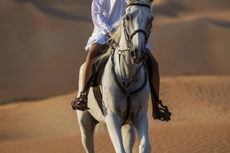 Qasr Al Sarab Desert Resort By Anantara - 79