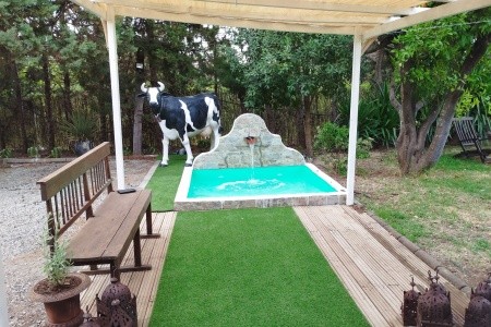 Kanárske ostrovy Gran Canaria Rural Las Calas (Vega De San Mateo) 11 dňový pobyt Raňajky Letecky Letisko: Viedeň July 2025 (11/07/25-21/07/25)