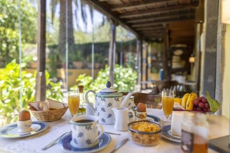 Kanárske ostrovy Gran Canaria Rural Las Calas (Vega De San Mateo) 11 dňový pobyt Raňajky Letecky Letisko: Viedeň July 2025 (11/07/25-21/07/25)