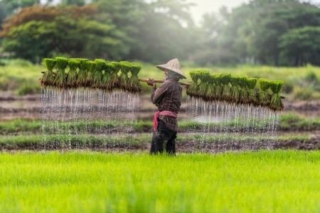6 dôvodov, prečo navštíviť Vietnam 