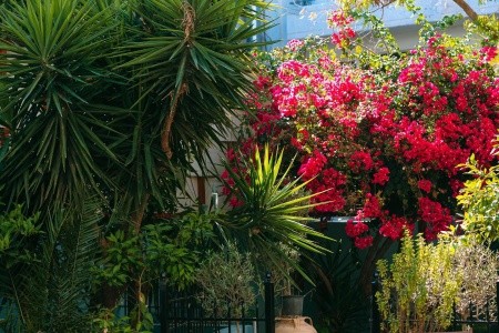 Grécko Kréta Santa Marina Unique (Ex.