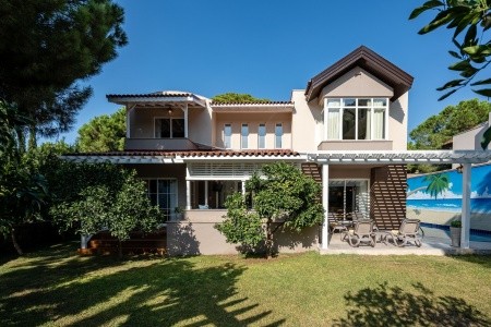 Papillon Ayscha - 172