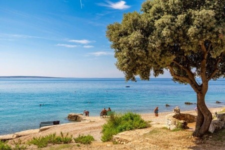 Camping Straško - 16