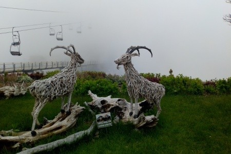 Sundia By Liberty Suncity (Ex. Sun City Hotel & Beach Club) - 43