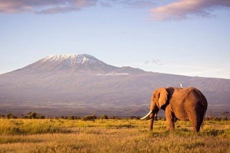Safari ve stínu Kilimandžára + pobyt v Hotel 