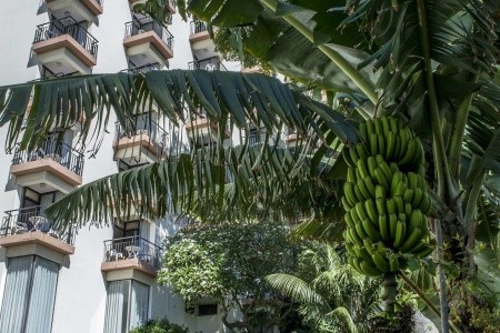 Aparthotel Dorisol Mimosa - 91