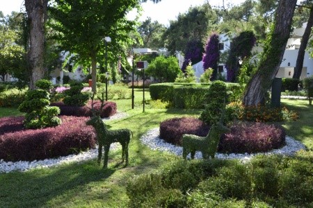 Emelda Sun Club - 40