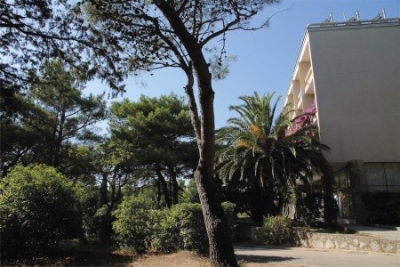 Alemaris (Ex. Alem) - 20