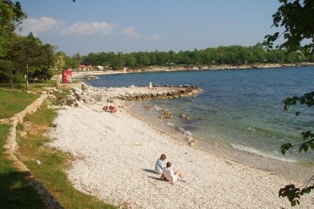 Hotel Delfin Plava Laguna - 15