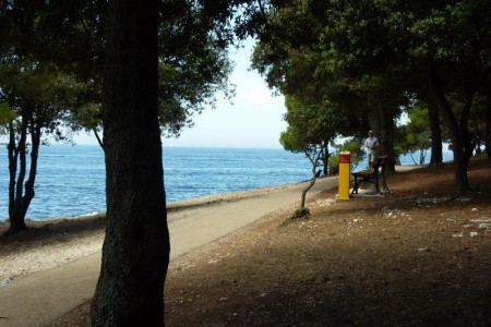 Hotel Delfin Plava Laguna - 16