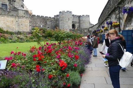 Skotsko - velký okruh - 54