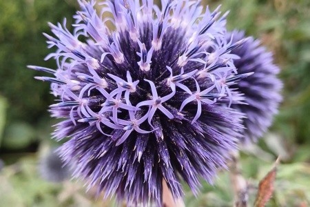 Skotsko - velký okruh - 94