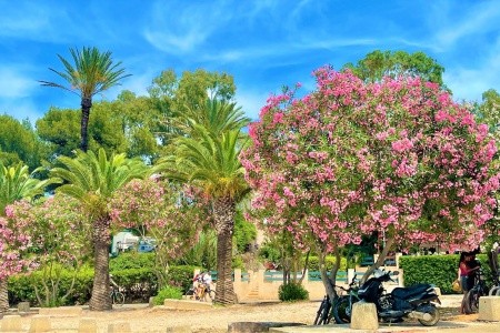 Riviéra - perly Azurového pobřeží s koupáním, Riviéra - perly Azurového pobřeží s koupáním - 17