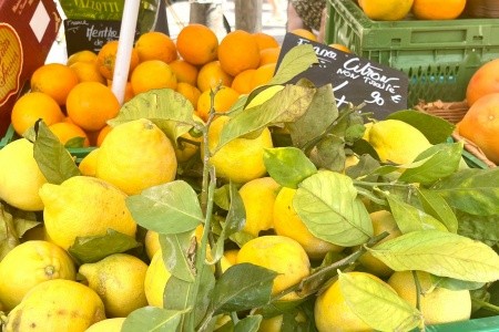 Riviéra - perly Azurového pobřeží s koupáním, Riviéra - perly Azurového pobřeží s koupáním - 62