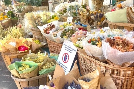 Riviéra - perly Azurového pobřeží s koupáním, Riviéra - perly Azurového pobřeží s koupáním - 63