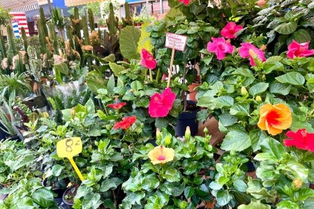 Riviéra - perly Azurového pobřeží s koupáním, Riviéra - perly Azurového pobřeží s koupáním - 66