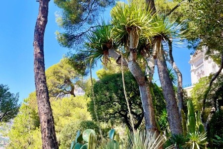 Riviéra - perly Azurového pobřeží s koupáním, Riviéra - perly Azurového pobřeží s koupáním - 76