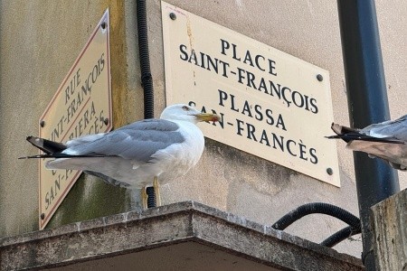 Riviéra - perly Azurového pobřeží s koupáním, Riviéra - perly Azurového pobřeží s koupáním - 80