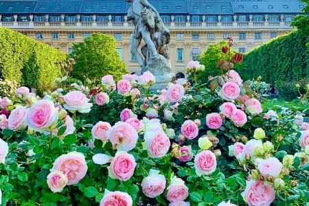 Tajemství Paříže a Versailles - 70