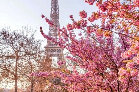 Tajemství Paříže a Versailles - 83