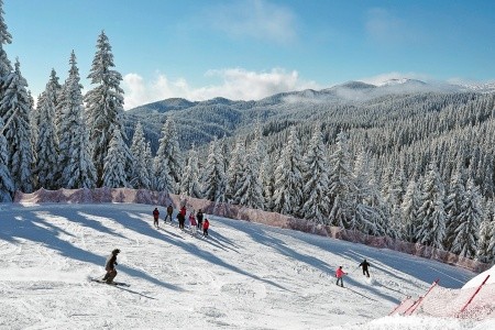 Snezhanka