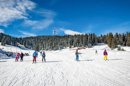Snezhanka
