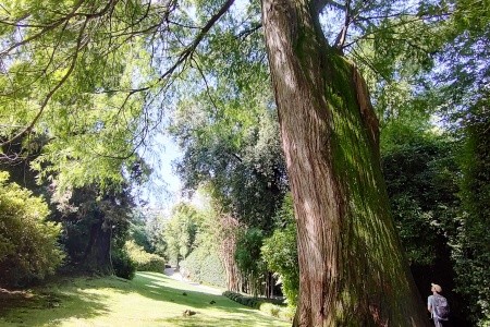 Nejkrásnější zahrady a jezera kraje Piemont a švýcarského Ticina - 24